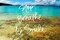 Stop Breathe Smile Poster Print by Kathy Mansfield - Item # VARPDX13127G